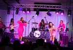Live Jazz in Pink Concert - Austin TX - Austin Women in Jazz