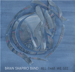 “All That We See” (LP) by Brian Shapiro Band- Indie Shark